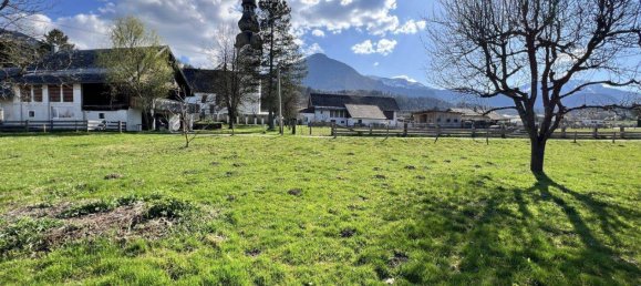  Land in Feistritz im Rosental, Austria No. 242961 5