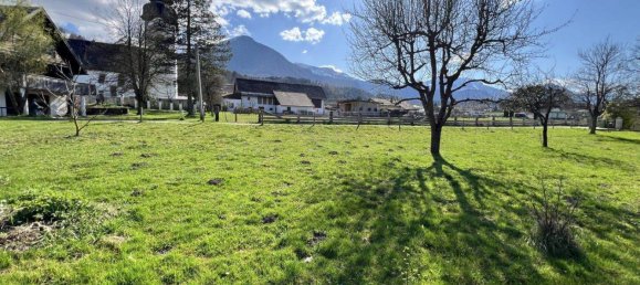  Land in Feistritz im Rosental, Austria No. 242961 11