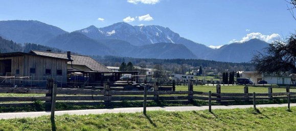  Land in Feistritz im Rosental, Austria No. 242961 3