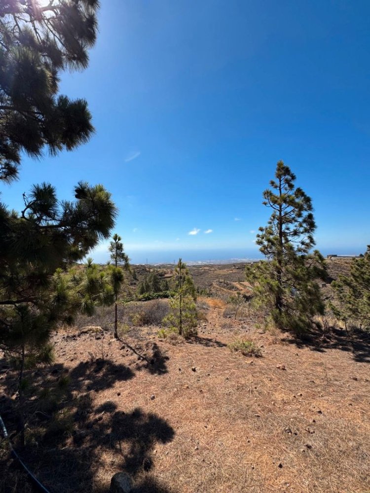  قطعة أرض في Arico, Spain 3245متر مربع رقم 207137