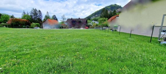  Land in Alland, Austria No. 255393 4