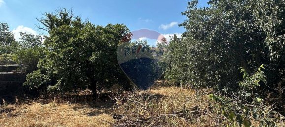 Terreno en Gravina di Catania, Italy 1460 m² No. 288998 10