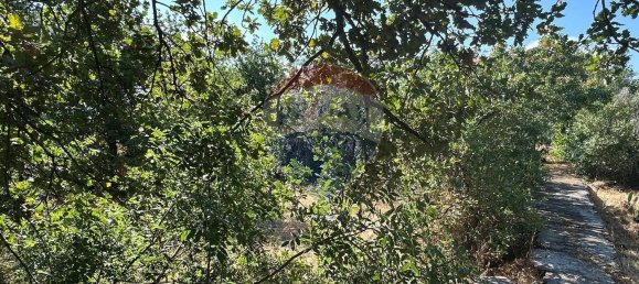 Terreno en Gravina di Catania, Italy 1460 m² No. 288998 5