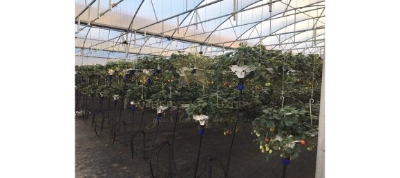 9 bedrooms House in Soure, Portugal No. 139737 40