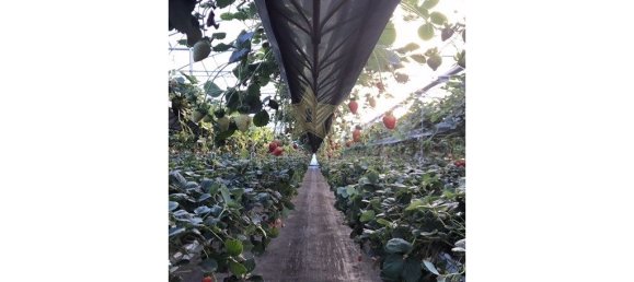 9 bedrooms House in Soure, Portugal No. 139737 39