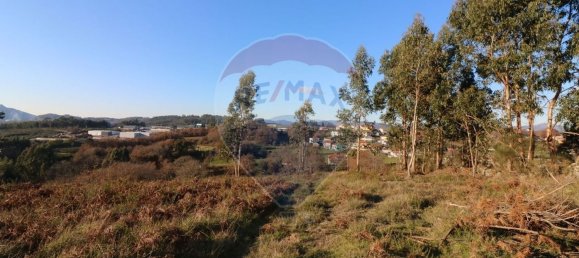 Terreno en Vieira do Minho, Portugal 31200 m² No. 24471 17