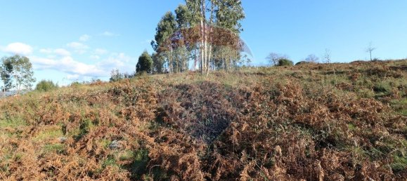 Terreno en Vieira do Minho, Portugal 31200 m² No. 24471 11