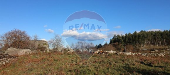 Terreno en Vieira do Minho, Portugal 31200 m² No. 24471 2