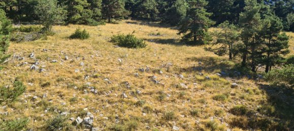 2 bedrooms Apartment in Greolieres, France No. 284902 11