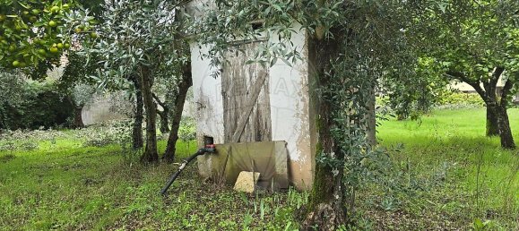 Casa T4 em Águas Belas, Portugal N.º 26423 24