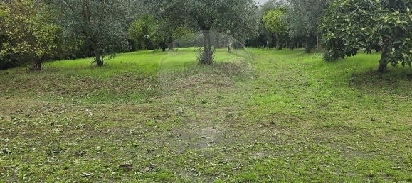 Casa T4 em Águas Belas, Portugal N.º 26423 17