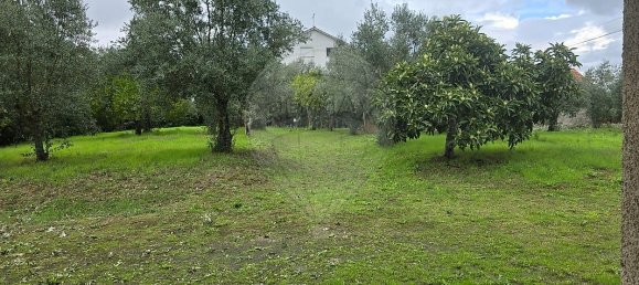 Casa T4 em Águas Belas, Portugal N.º 26423 28