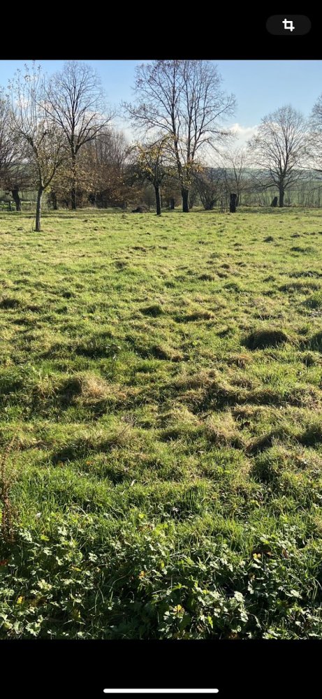 Terreno em Hauteville, France 5000 m² N.º 76457