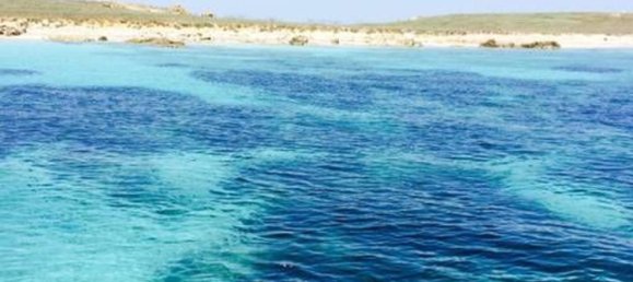 8 bedrooms House in San Vero Milis, Italy No. 313717 27