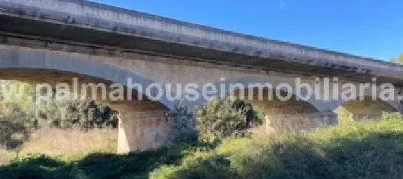 747m² Land in Llubi, Spain No. 162130 4