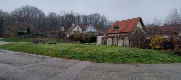 Grundstück in Donnerskirchen, Austria 295m², Nr. 161716 11