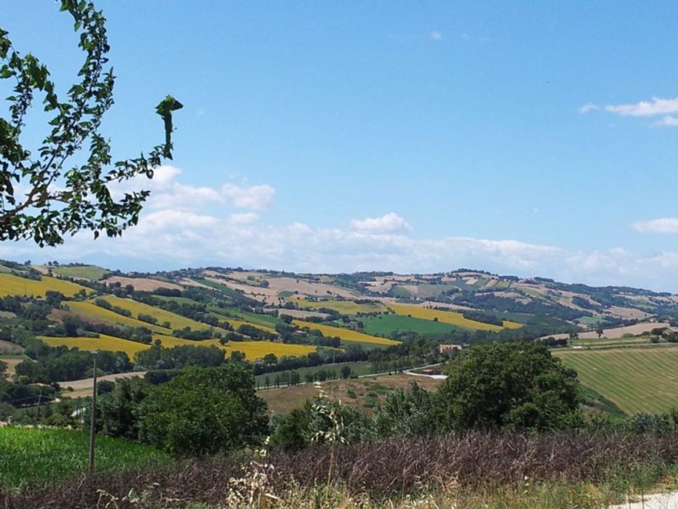 42000m² Land in Potenza Picena, Italy No. 122235
