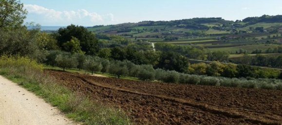 42000m² Land in Potenza Picena, Italy No. 122235 2
