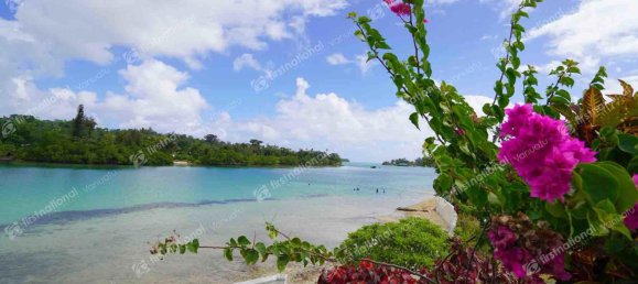 7 chambres Maison à Port-Vila, Vanuatu No. 50 10