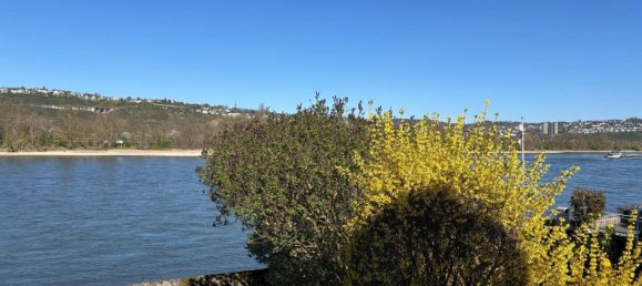 4 Schlafzimmer Haus in Koblenz, Germany, Nr. 362747 6