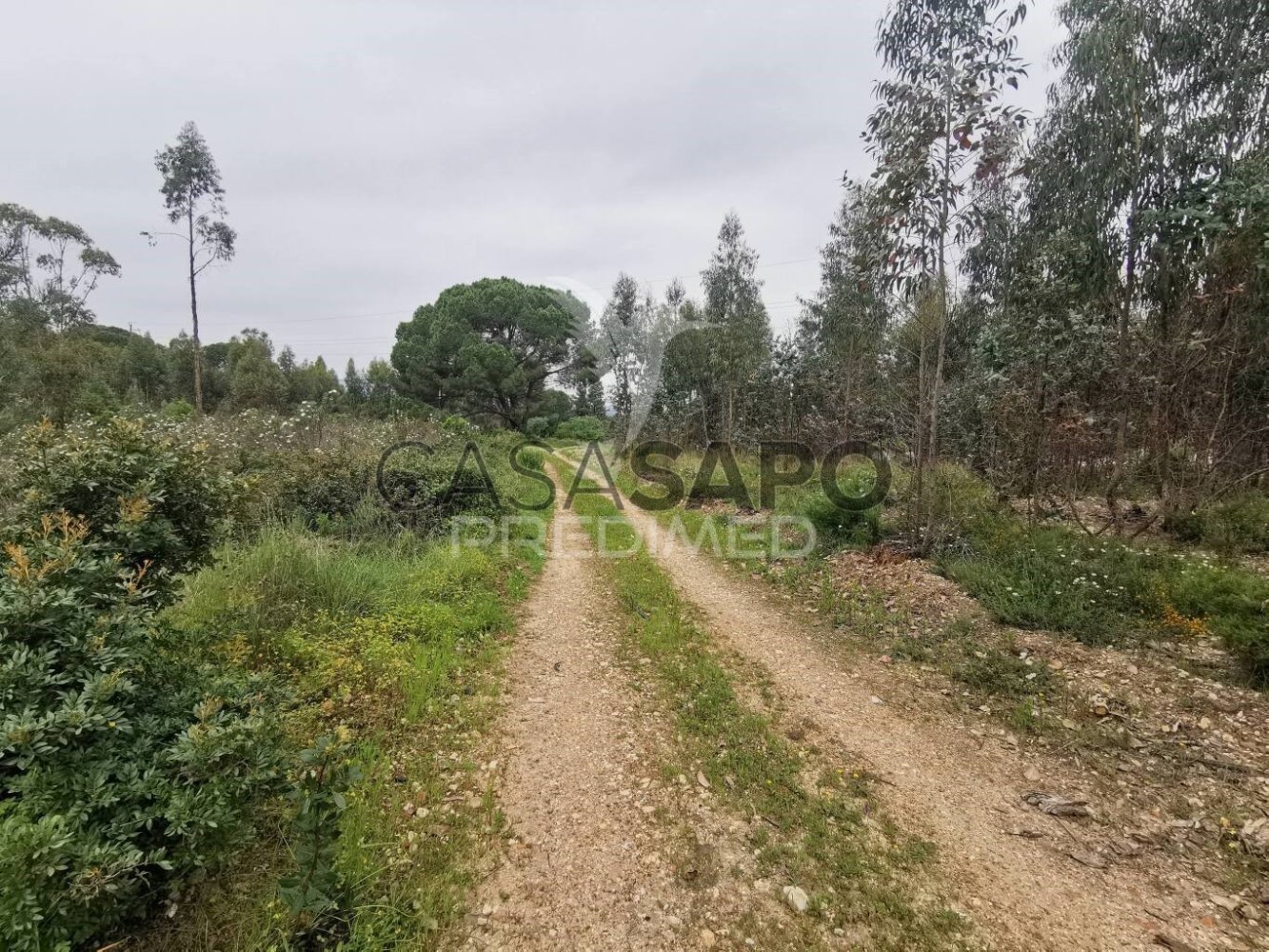 Terrain à Quarteira, Portugal No. 197250