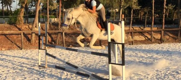 Земельный участок в Алаурин-де-ла-Торре, Испания № 208524 13