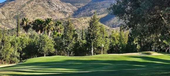 Земельный участок в Алаурин-де-ла-Торре, Испания № 208524 8