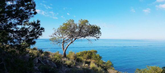 3 Schlafzimmer Wohnung in Villajoyosa, Spain, Nr. 6810 14