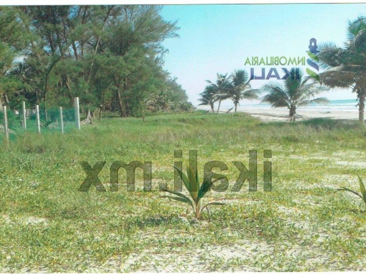 Terreno en Veracruz, Mexico No. 205363