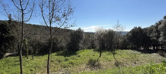 Terreno em Occitanie, France 1330 m² N.º 345147 8
