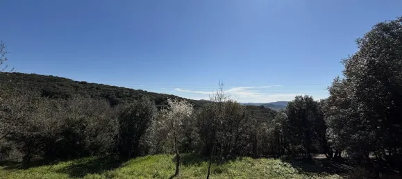 Terreno em Occitanie, France 1330 m² N.º 345147 2