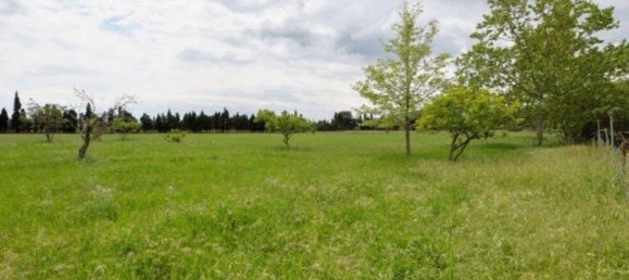 11 bedrooms House in Mallorca, Spain No. 30649 26