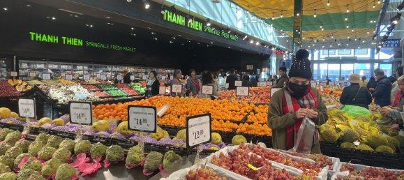 2 chambres Maison de ville à Springvale, Australia No. 1033 16