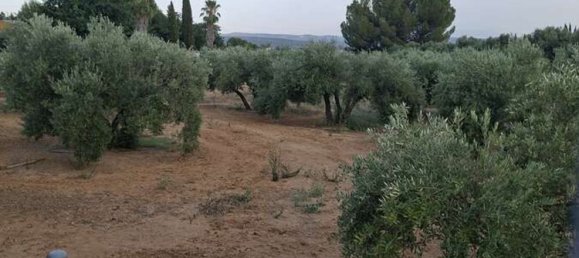 3 bedrooms House in Andalusia, Spain No. 157496 13