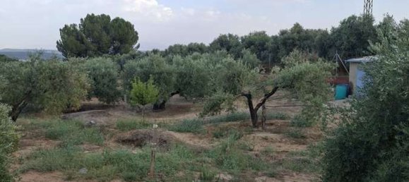 3 bedrooms House in Andalusia, Spain No. 157496 12