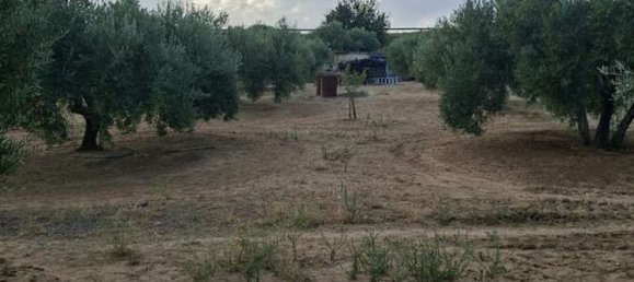 3 bedrooms House in Andalusia, Spain No. 157496 11