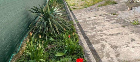 5غرفة منزل في Drabsburg, Austria رقم 18386 2