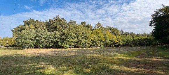 3 Schlafzimmer Haus in Gy-en-Sologne, France, Nr. 84601 4