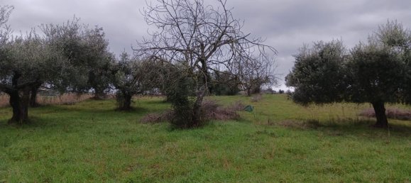 Land in Mentana, Italy No. 357301 4