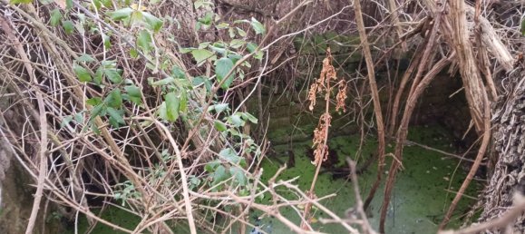 Land in Mentana, Italy No. 357301 2