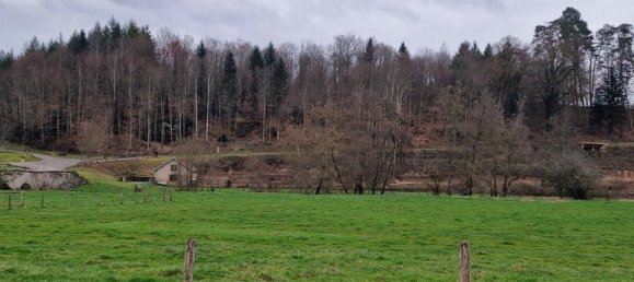 4 Schlafzimmer Haus in Monthureux-sur-Saone, France, Nr. 155091 12