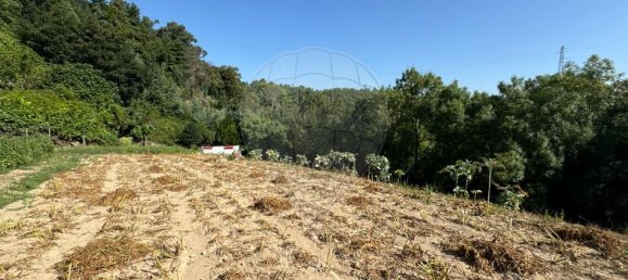 4 bedrooms House in Vila Real, Portugal No. 21589 16