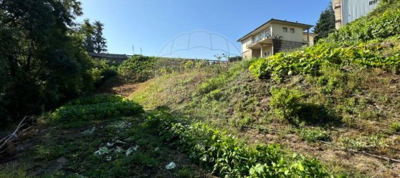 4 bedrooms House in Vila Real, Portugal No. 21589 15