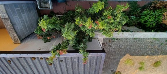 3 Schlafzimmer Haus in Sannazzaro de' Burgondi, Italy, Nr. 365317 7