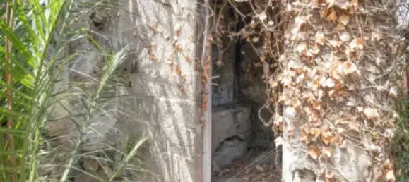 6 Schlafzimmer Haus in Icod de los Vinos, Spain, Nr. 172527 36