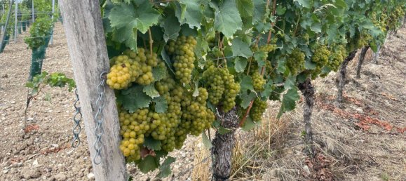 4 rooms House in Kitzingen, Germany No. 56734 21