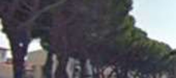 Propriété commerciale à Florence, Italy 14m² No. 323601 4