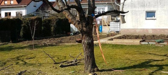 4 غرف نوم تاون هاوس في Lahn-Dill, Germany رقم 276042 6