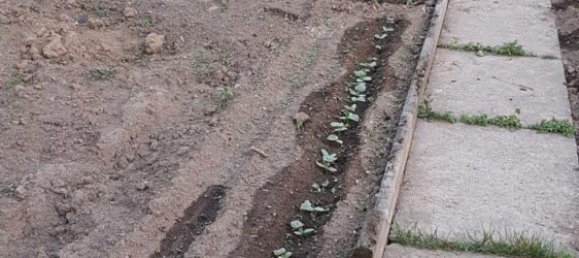 4 غرف نوم تاون هاوس في Lahn-Dill, Germany رقم 276042 4