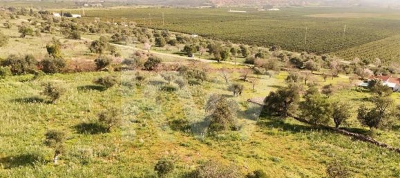 7400m² Land in Silves, Portugal No. 77498 6
